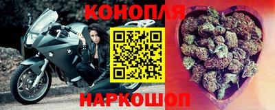 крисы Гай