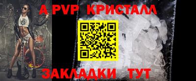 крисы Гай