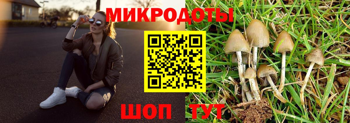 Псилоцибиновые грибы мухоморы Геленджик